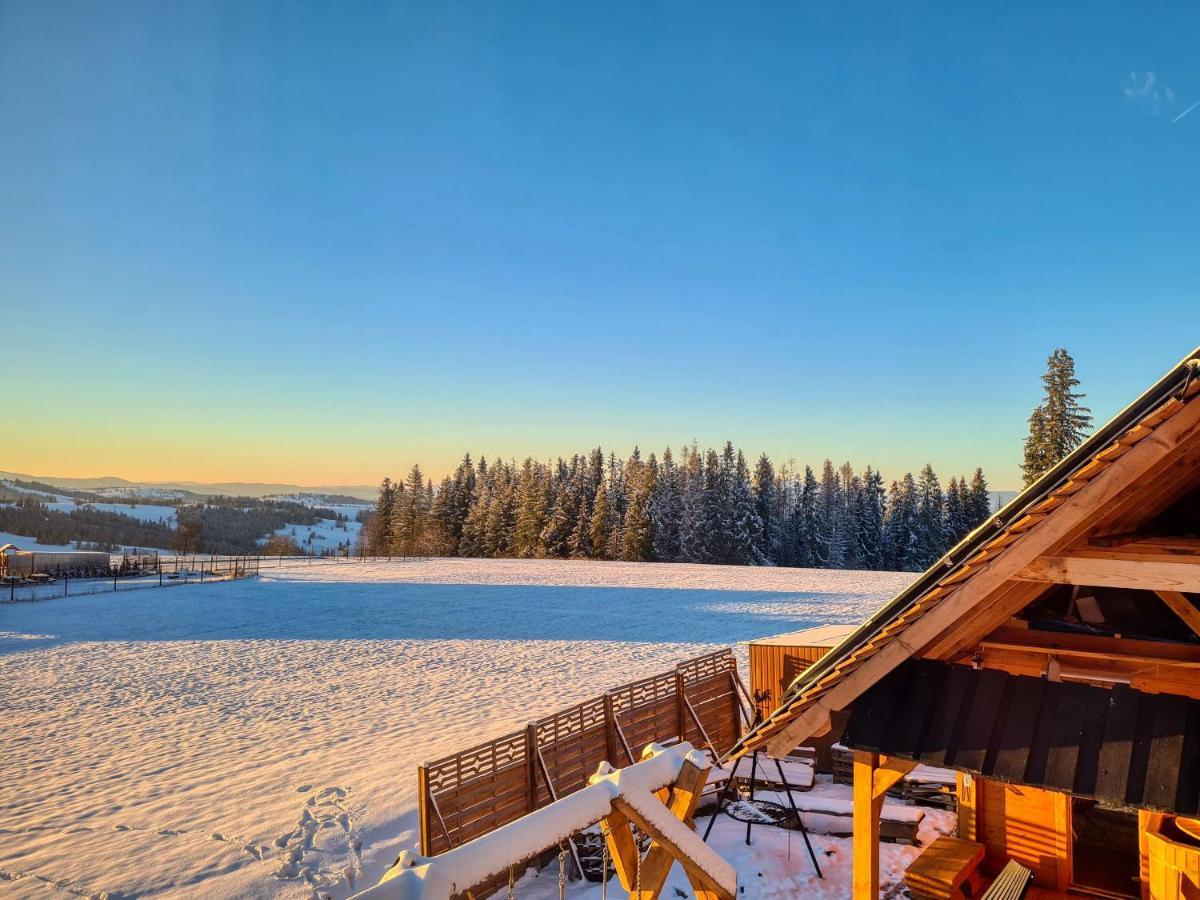 Domek W Zebie Z Jacuzii I Sauna W Cenie Zab Exterior photo